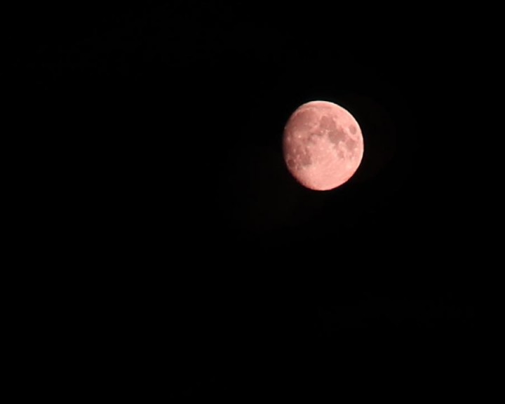 Луна-0118.jpg