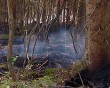 Лесной-пожар1-0515.jpg