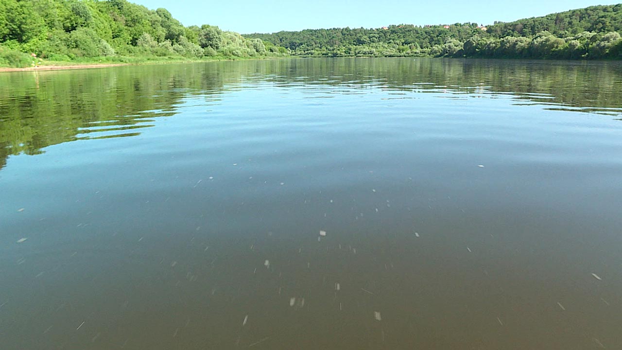 Только три калужских водоема пригодны для купания | 18.06.2020 | Новости  Калуги - БезФормата