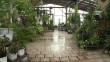 ботанический-сад-КГУ-0227.jpg