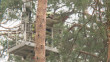 Опиловка-деревьев-Лагерь-0522.jpg