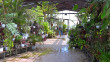 Ботанический-сад-КГУ7-0725.jpg