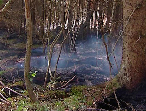 Лесные пожары начались в Калужской области