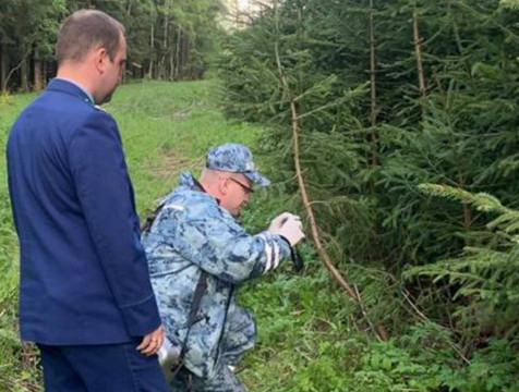 Труп молодого человека обнаружили в лесополосе на окраине Калуги