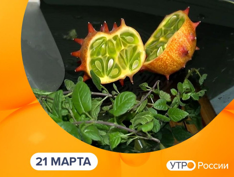 Утро России. Калуга (21.03.2025)