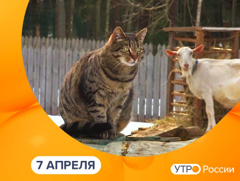 Утро России. Калуга (07.04.2025)