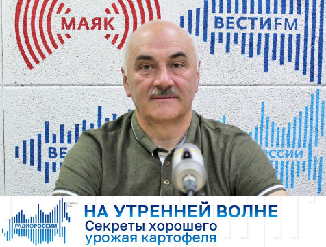 На утренней волне. Секреты хорошего урожая картофеля