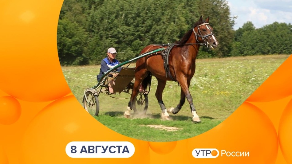 0808-УтроРоссииКалуга.jpg