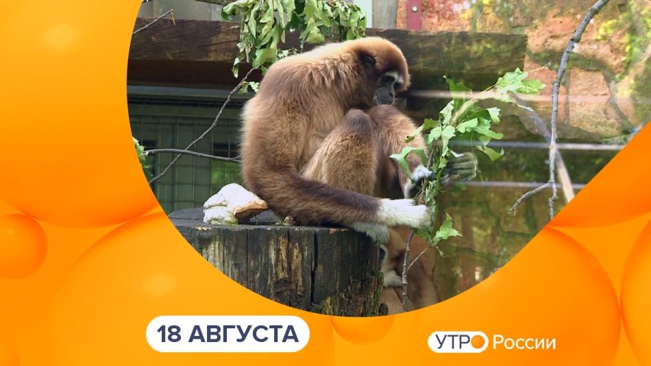 0818-УтроРоссииКалуга.jpg