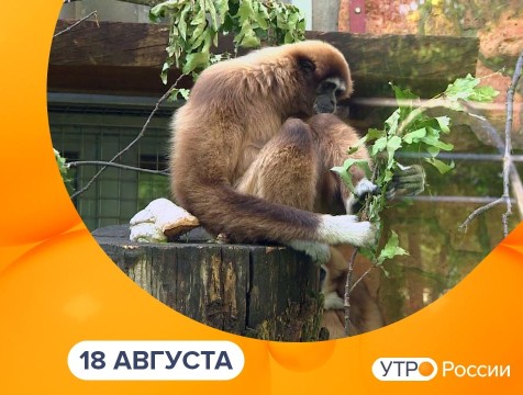 Утро России. Калуга (18.08.2025)