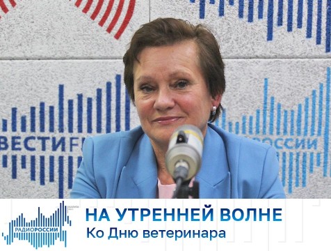 На утренней волне. Ко Дню ветеринара