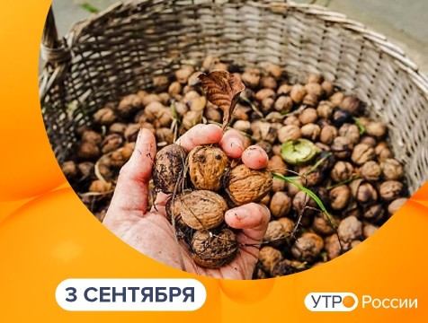 Утро России. Калуга (03.09.2025)