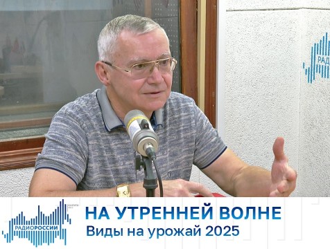 На утренней волне. Виды на урожай 2025