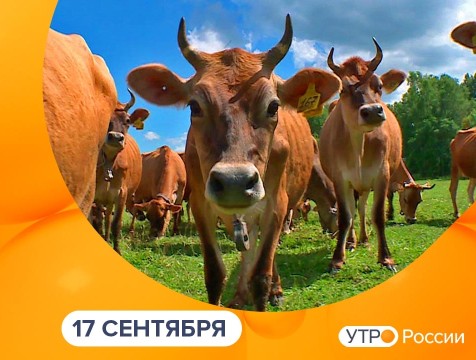 Утро России. Калуга (17.09.2025)