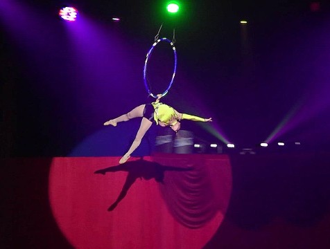 Новую цирковую программу калужане смогут увидеть каждые выходные до 12 октября