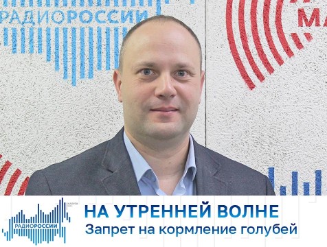 На утренней волне. Запрет на кормление голубей