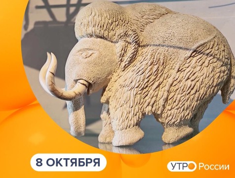 Утро России. Калуга (08.10.2025)