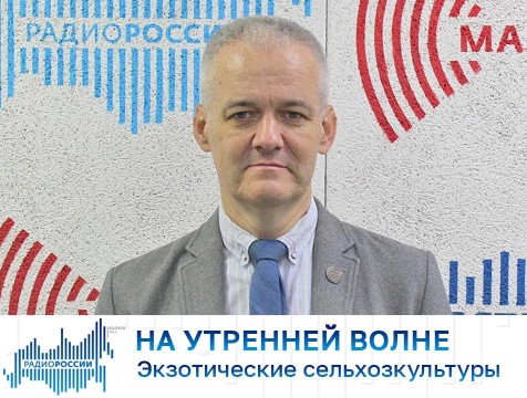 На утренней волне. Экзотические сельхозкультуры