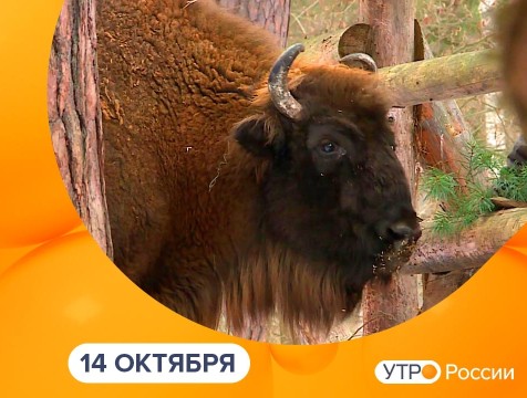 Утро России. Калуга (14.10.2025)
