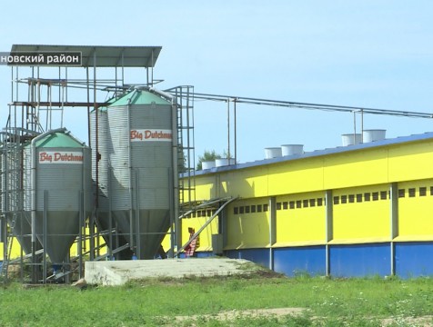 В Ульяновском районе интенсивно развивается животноводческая ферма «Харчевников»