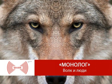 Монолог. Волк и люди
