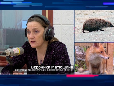 Интервью с В. Матюшиной. Тема: Дикие животные в городе
