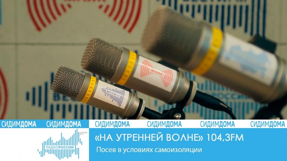 0424-Радио-2020-Сидим-дома.jpg