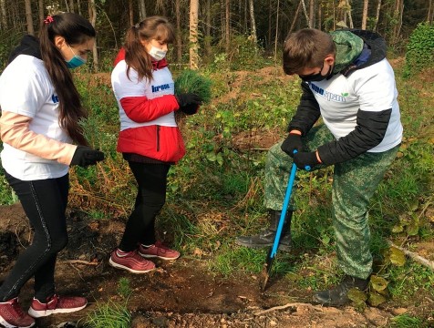 Кроношпан — посадка леса для людиновских школьников