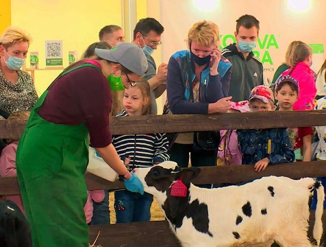 Молочный праздник прошёл на Правобережье Калуги