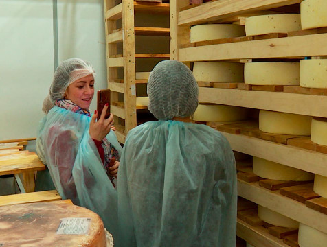 Сыроварня «Иван да Марья» знакомит туристов с тонкостями изготовления сыра