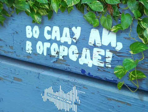 Во саду ли, в огороде! (31.07.2024)