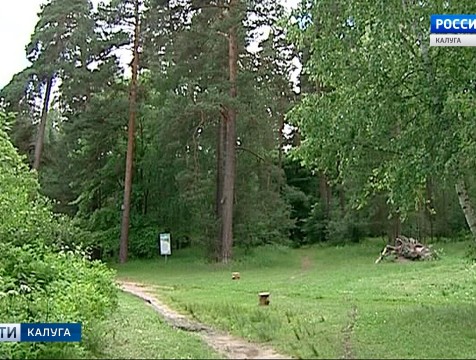 Границы «зелёного пояса» Калужской области утвердили депутаты
