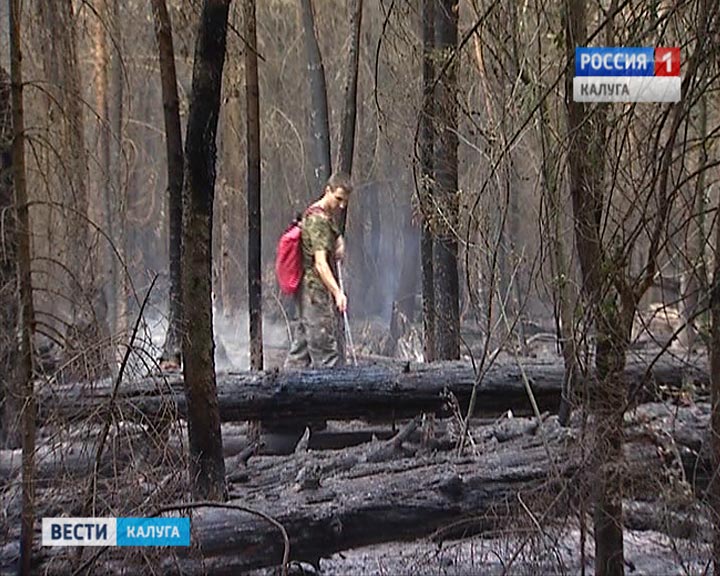 Пожар лес0702.jpg