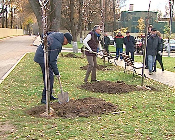 Посадка-деревьев-Бабурин1026.jpg