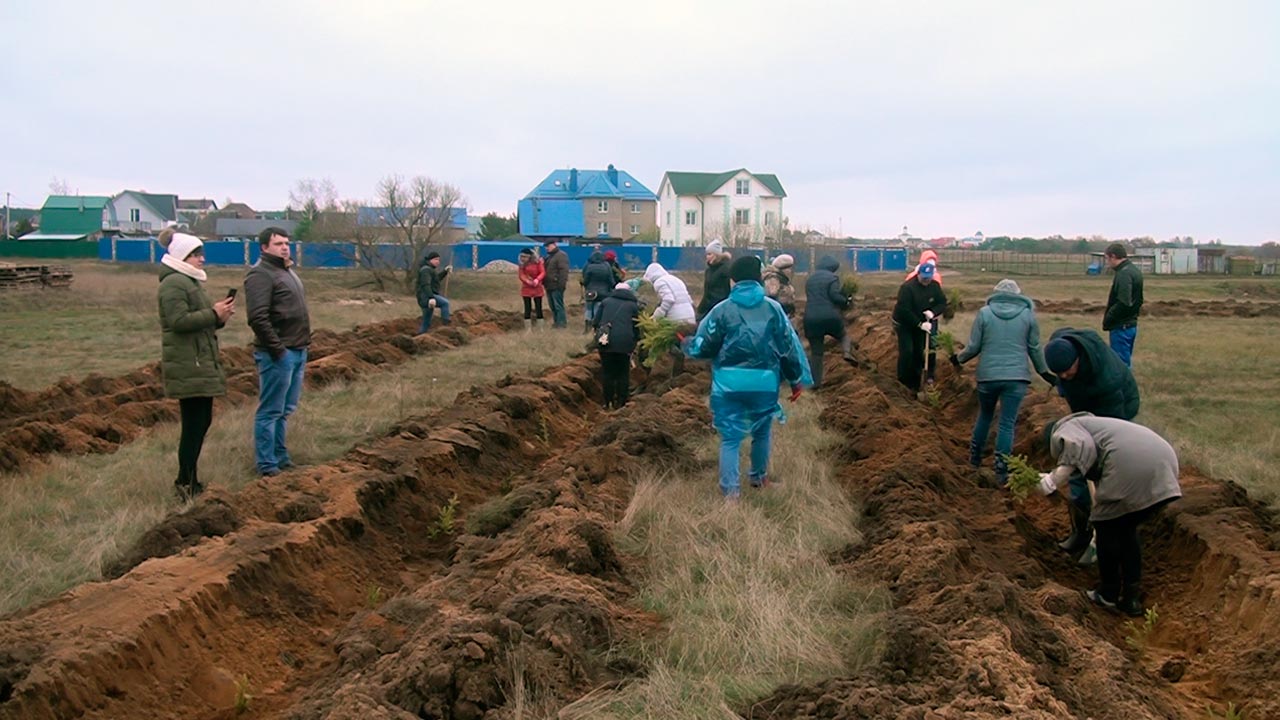 Погода село дворцы