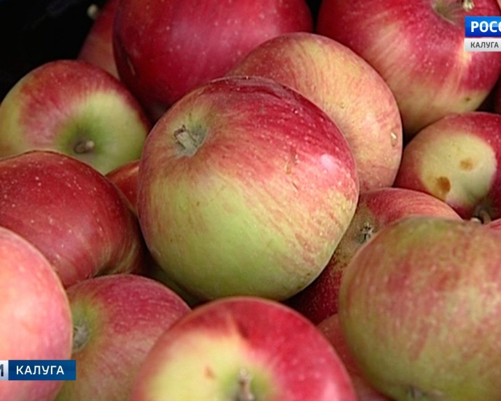 Яблоки3-0821.jpg