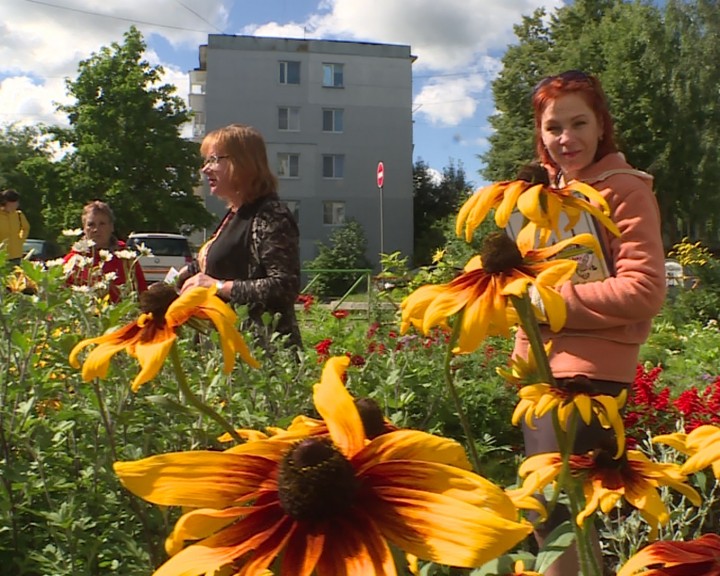 кубяка-в цвету.jpg