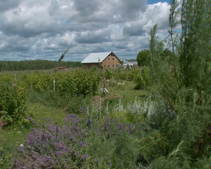 погода-деревня.jpg