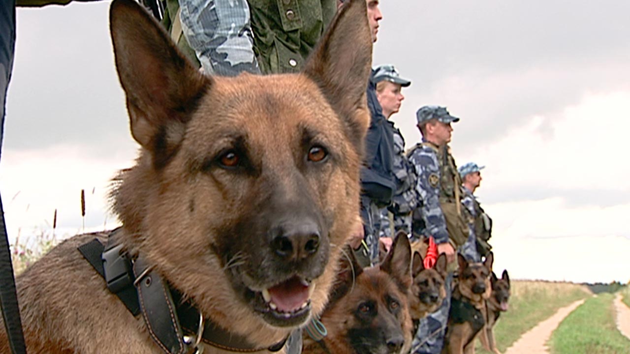 потеряшки видное.