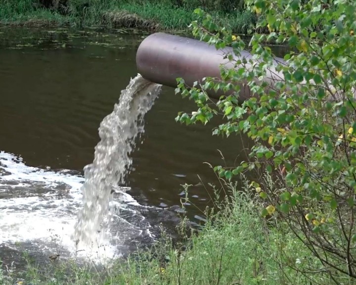 Речка-Болва-слив-0731.jpg