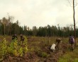 Посадка-леса2-1011.jpg