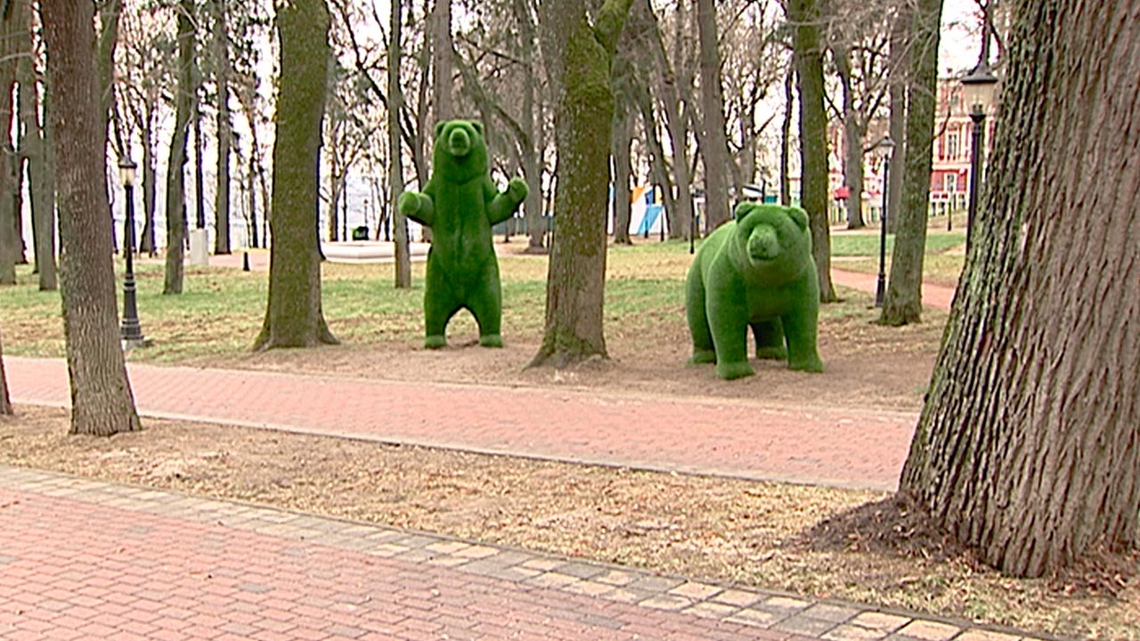 Weather bear. Железногорск зеленый медведь.