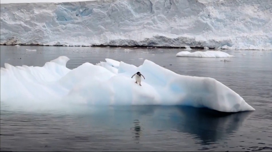 Антарктида2 0207.jpg