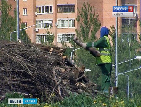 Предпринимателям могут смягчить наказание за нарушения в сфере благоустройства