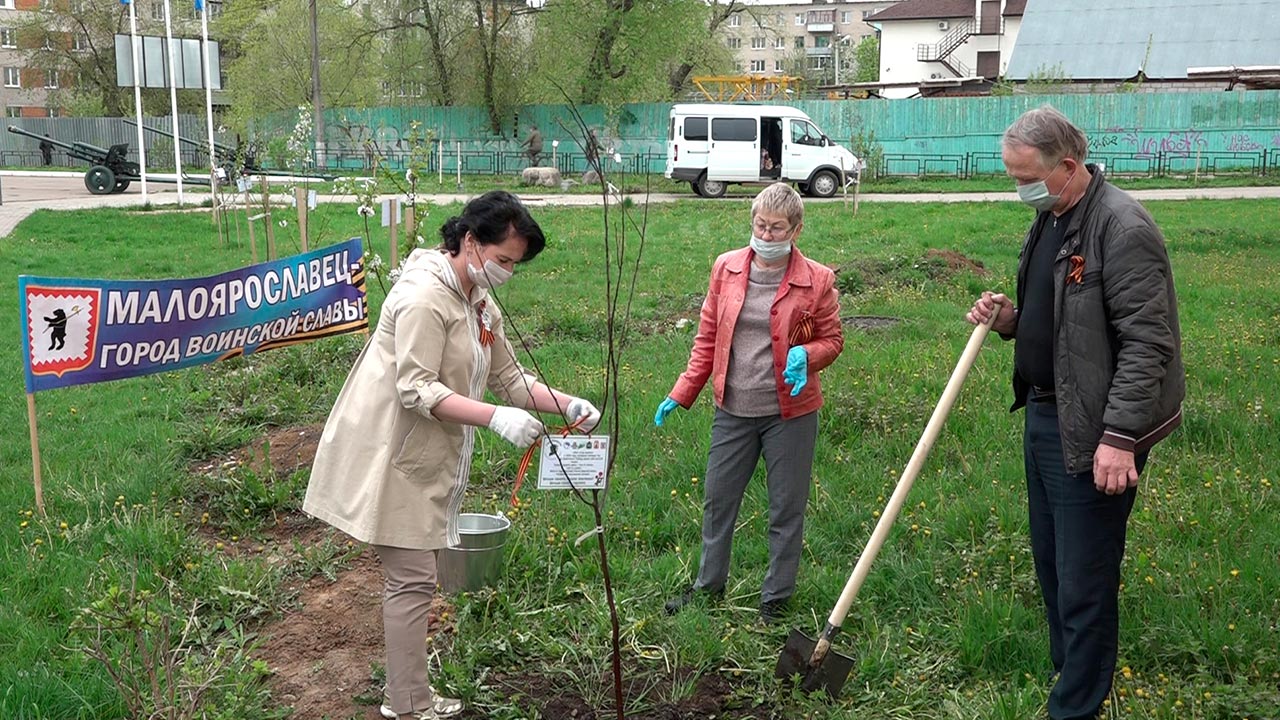 Сад памяти фотографии