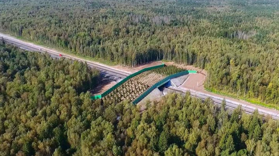 Экодук в калужской области фото