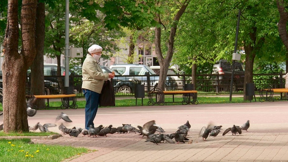 Погода-голуби-пенсионер-0525.jpg