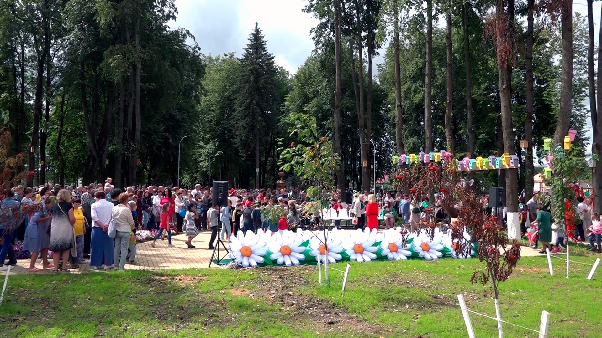 Погода медынь калужской на неделю. Парк Медынь. Паркцентральный в Медыне. Медынь Калужская область. Медынь центр.