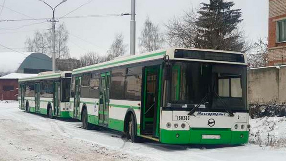 автобусы-1217.jpg