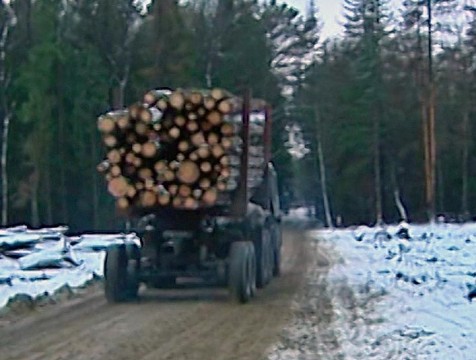 Более 22 тысяч кубометров калужской древесины экспортировано за год